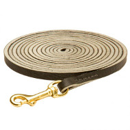 Long Leather Newfoundland Leash for Tracking, Training and Walking