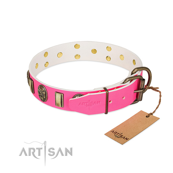 Durable studs on full grain genuine leather dog collar for your doggie