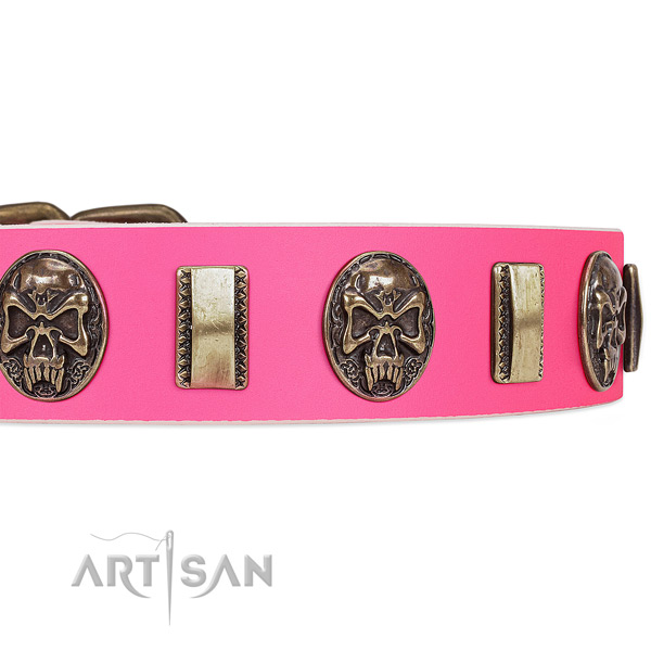 Rust resistant decorations on leather dog collar for your doggie