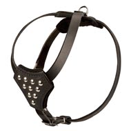 Designer Leather Newfoundland Harness with Adjustable Straps for Puppy Walking and Training