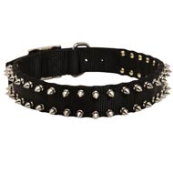 Newfoundland Nylon Collar Spiked