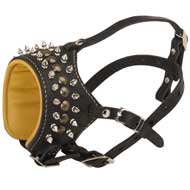 Royal Spiked and Studded Leather Newfoundland Muzzle