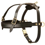 Leather Newfoundland Harness for Tracking and Pulling