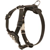 Studded Leather Newfoundland Puppy Harness