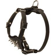 Durable Spiked Leather Puppy Newfoundland Harness
