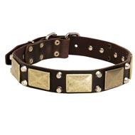 Leather Newfoundland Collar with Studs and Plates