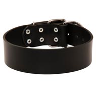 Extra Wide Leather Newfoundland Collar for Professional Training