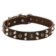 Leather Newfoundland Collar With Studs and Pyramids