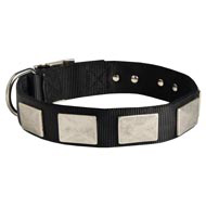 Nylon Newfoundland Collar Massive Nickel Plates