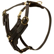 Padded Leather Newfoundland Harness for Agitation Training