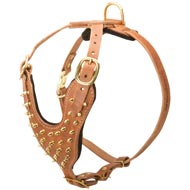 Brass Spiked Leather Newfoundland Harness for Fashion Walking