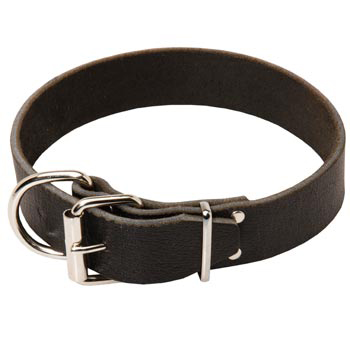 Newfoundland Leather Collar