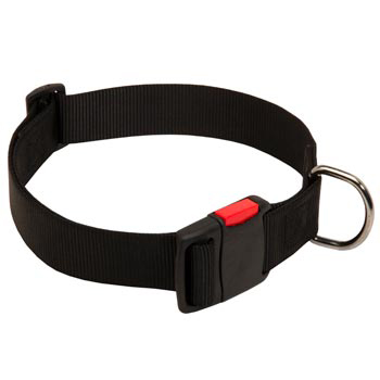 Nylon Newfoundland Collar for Training and Waling