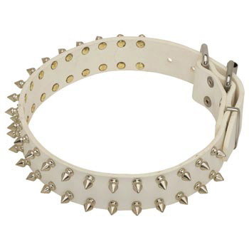Spiked White Leather Collar for Newfoundland Walking