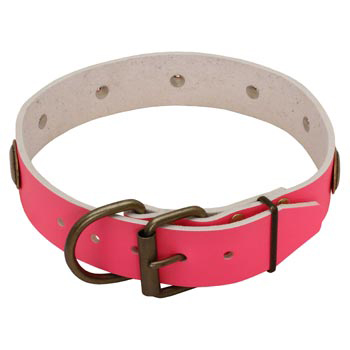 Fashion Pink Leather Newfoundland Collar