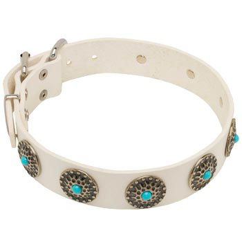 Leather Dog Collar White Exclusive for   Newfoundland Walking