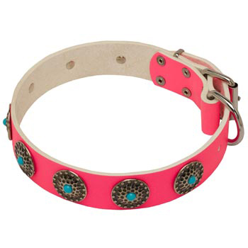 Safe Walking Leather   Newfoundland Сollar Pink Studded