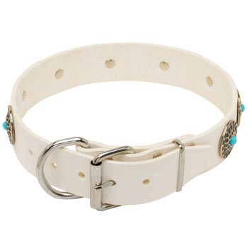 Leather   Newfoundland Collar White Fancy for Dog Training, Walking