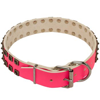 Newfoundland Pink Leather Collar for Walking She-Dogs