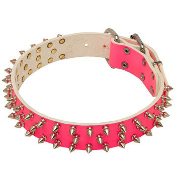 Pink Leather Collar for Newfoundland She-Dogs