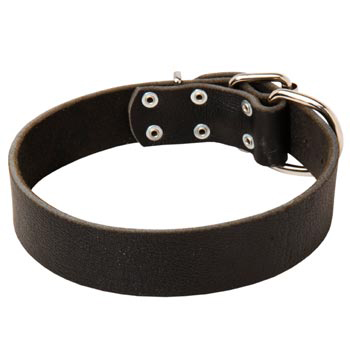 Unbelievable Newfoundland Strict Style Leather Dog  Collar