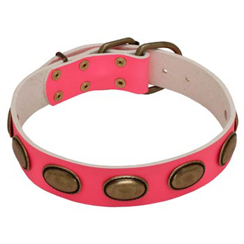 Pink Leather Newfoundland Collar for Female Dogs