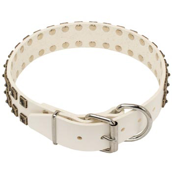 White Leather Dog Buckle Collar for Newfoundland