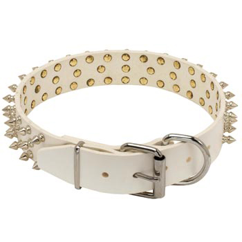 Spiked Leather Newfoundland Collar