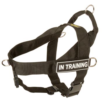 Newfoundland Nylon Harness with ID Patches