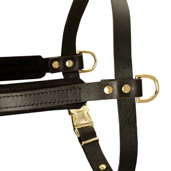 Training Pulling Newfoundland Harness with Sewn-In Side D-Rings