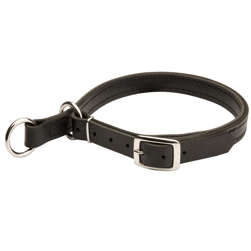 Newfoundland Leather Choke Collar