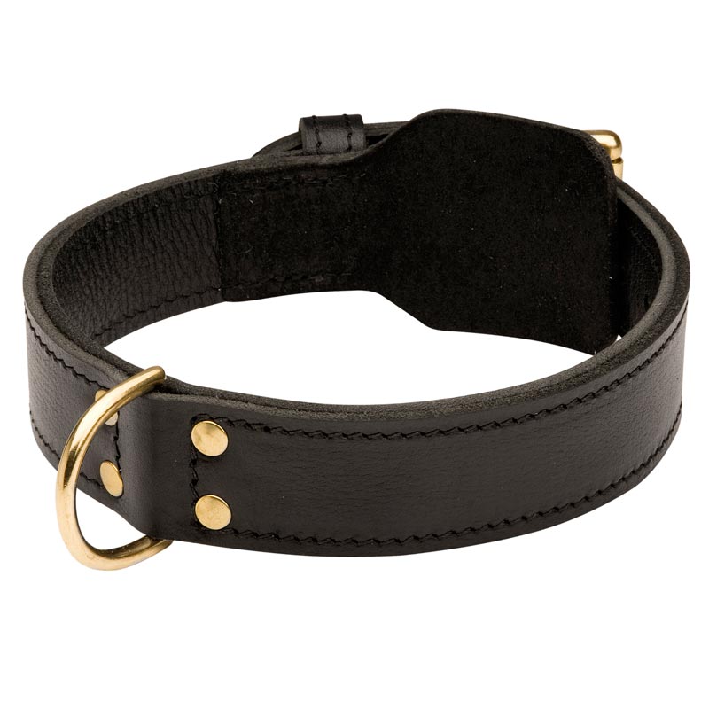 Training 2 Ply Leather Newfoundland Collar
