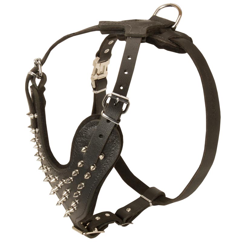Spiked Leather Newfoundland Harness for Fashionable Walking