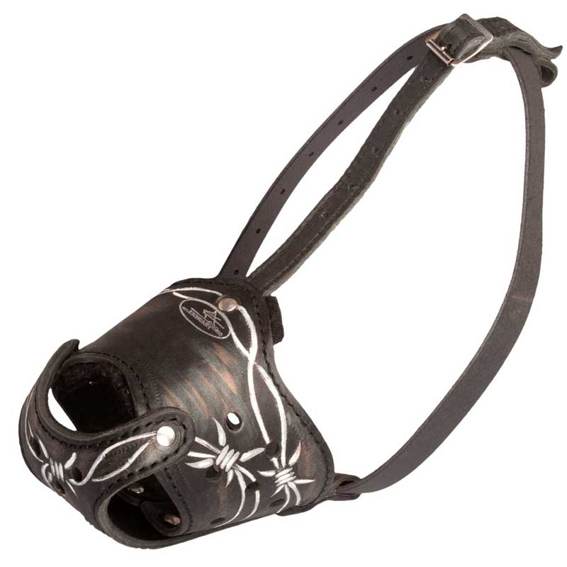Barbed Wire Painted Leather Newfoundland Muzzle for Training