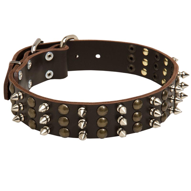 Newfoundland Spikes and Studs Rows Leather Dog Collar