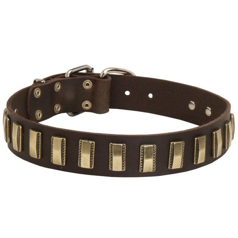 Leather Newfoundland Collar with Awesome Brass Plates