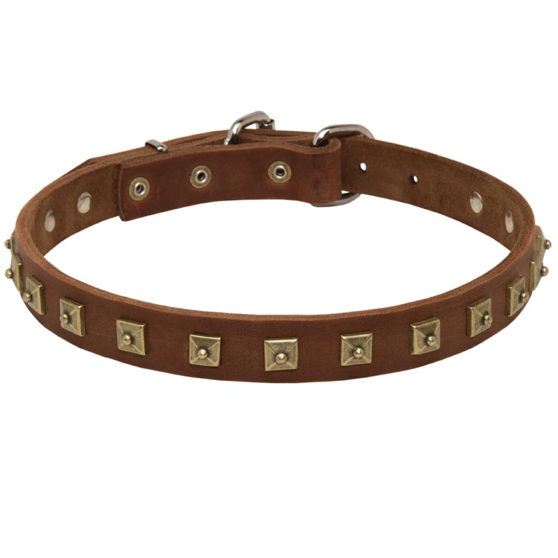 Handcrafted 1 Row Square Studded Leather Newfoundland Collar