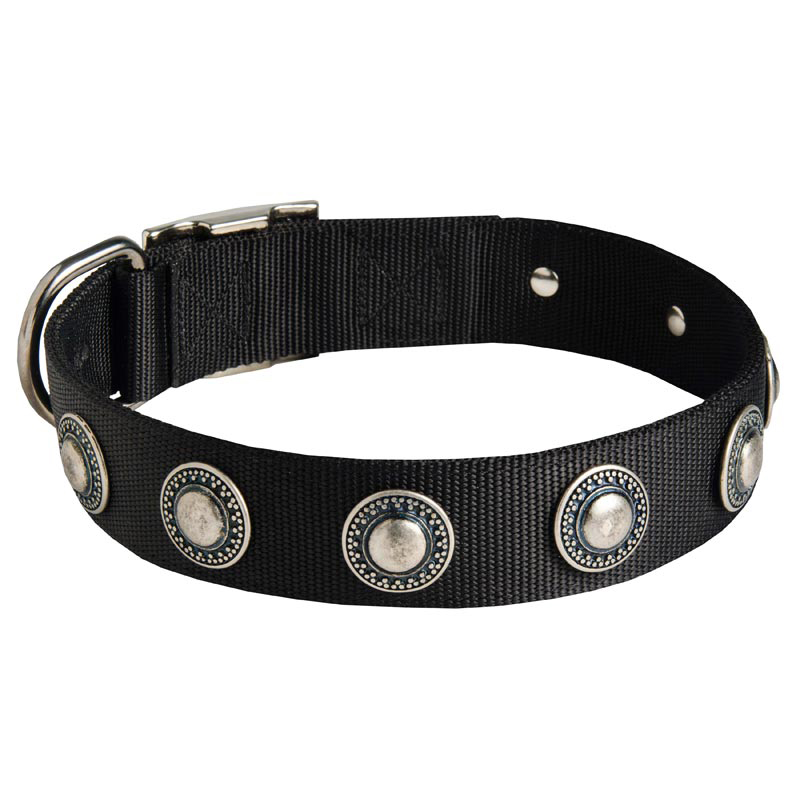 Newfoundland Nylon Dog Collar with Circles Decoration