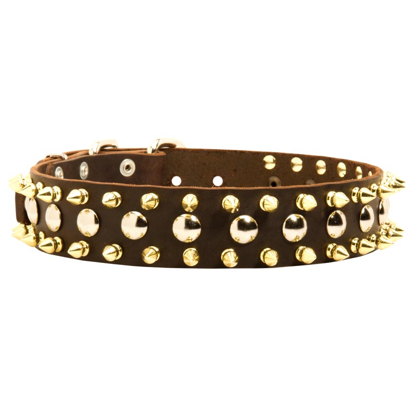 Spiked and Studded Newfoundland Leather Collar