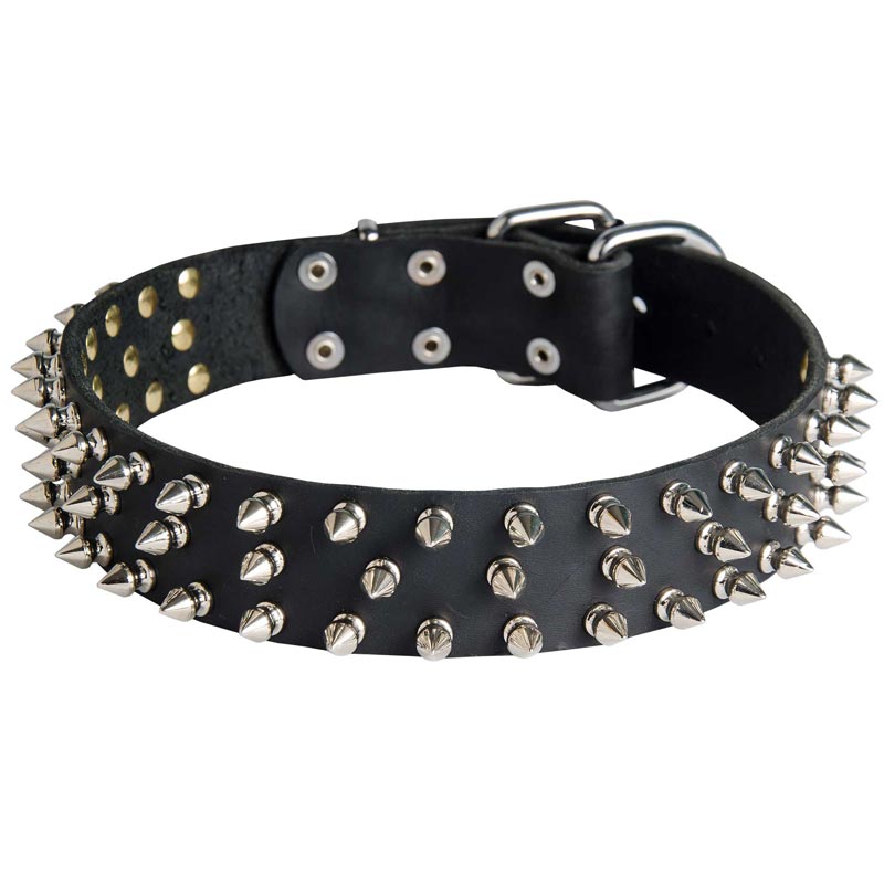 Leather Newfoundland Collar with 3 Rows of Nickel Spikes