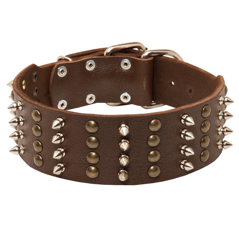 Extra Wide Leather Spiked and Studded Newfoundland Collar