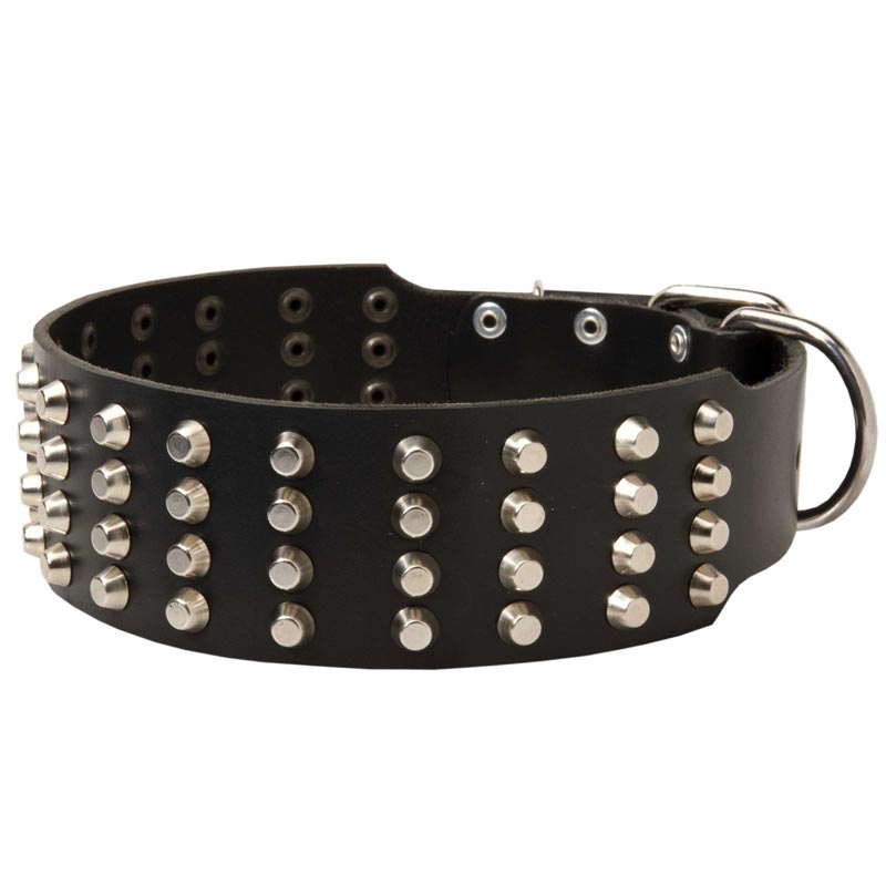 Extra Wide 4 Rows Studded Leather Newfoundland Collar