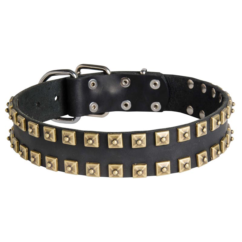 2 Rows Brass Studded Leather Newfoundland Collar for Walking and Training