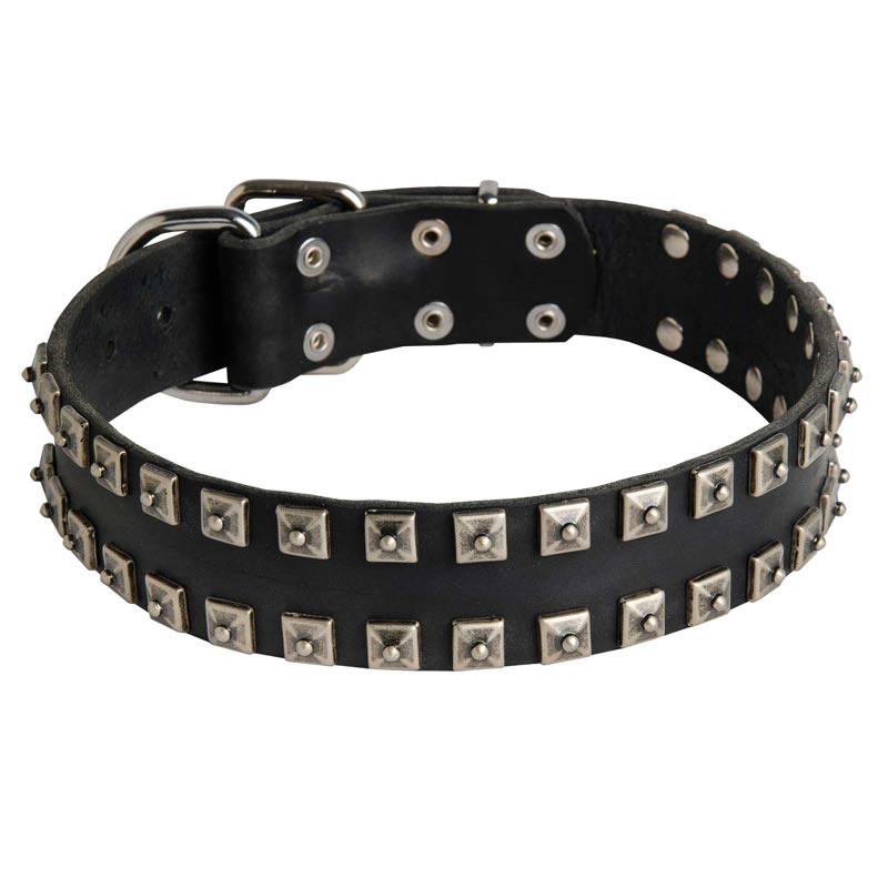 New Leather Newfoundland Collar - Fashion Exclusive Design - "Caterpillar"