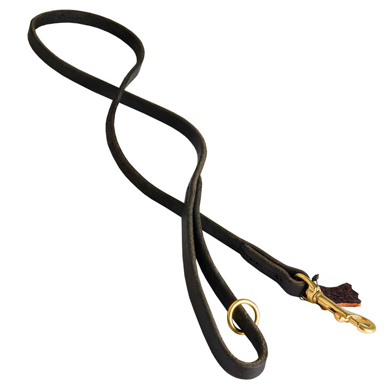 Handcrafted Leather Newfoundland Leash for Walking and Tracking - Click Image to Close