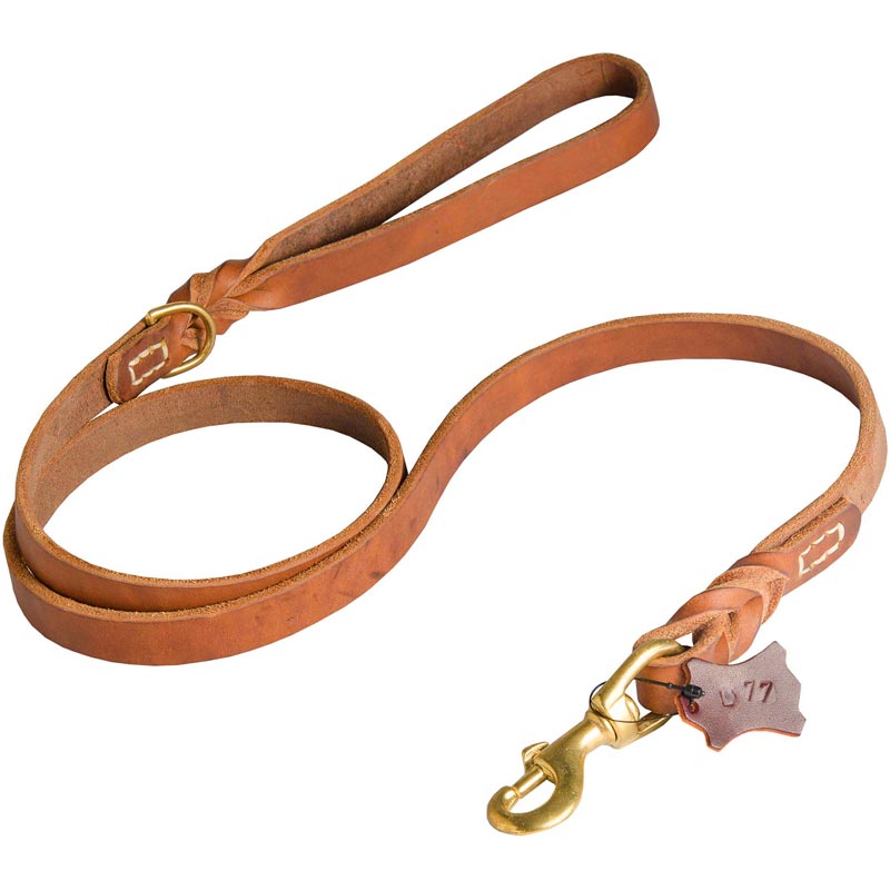 Walking and Training Leather Newfoundland Leash with Comfy Handle