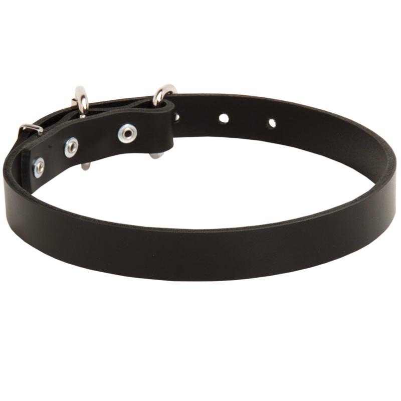 1 inch best sale wide dog collar