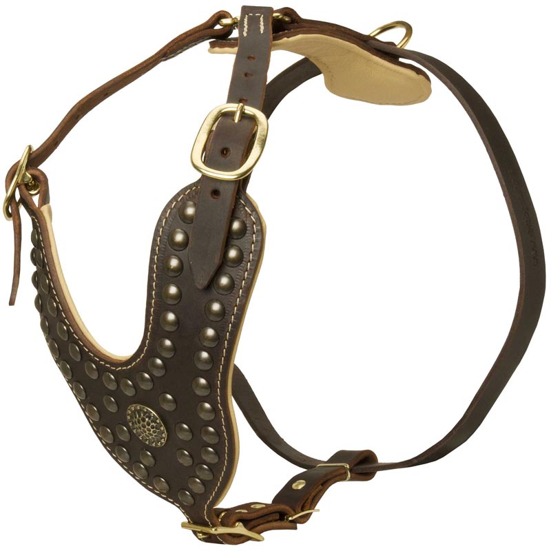 Royal Design Leather Newfoundland Harness with Brass Studs [H11##1118  Leather harness with Y-shaped chest plate&studs] : Newfoundland Breed: Dog  Harness, Muzzle, Collar, Leash, Dog Supplies