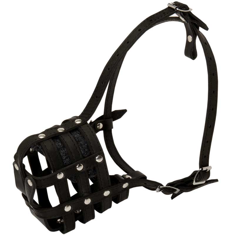 Walking and Training Leather Cage Newfoundland Muzzle