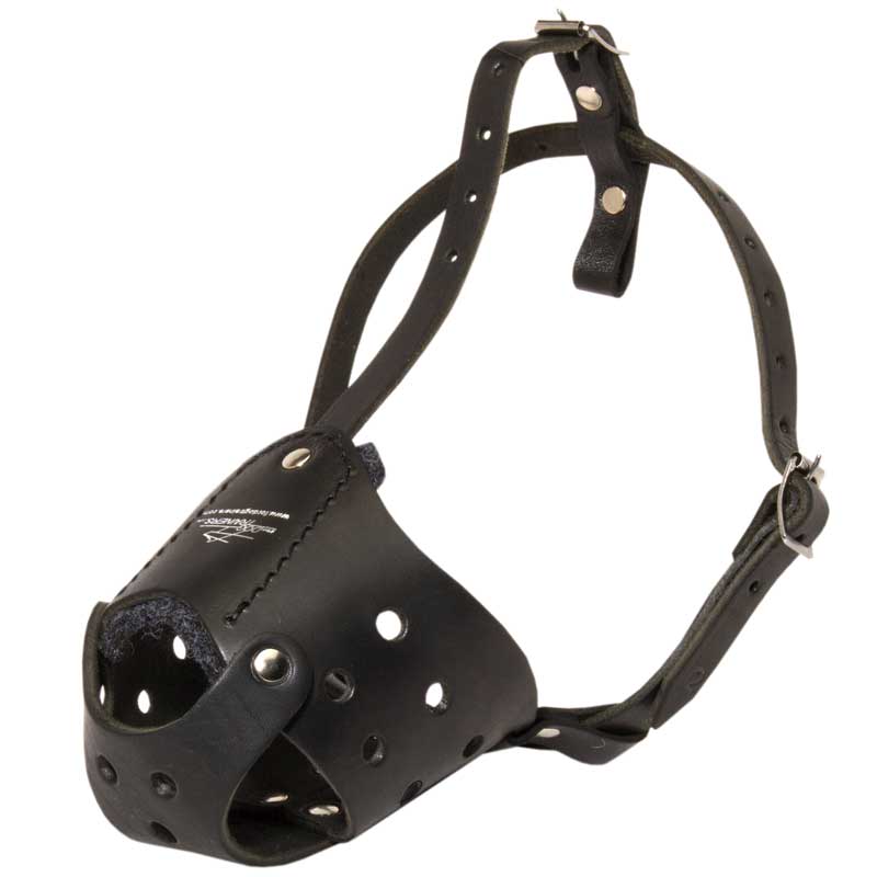 Leather muzzle discount